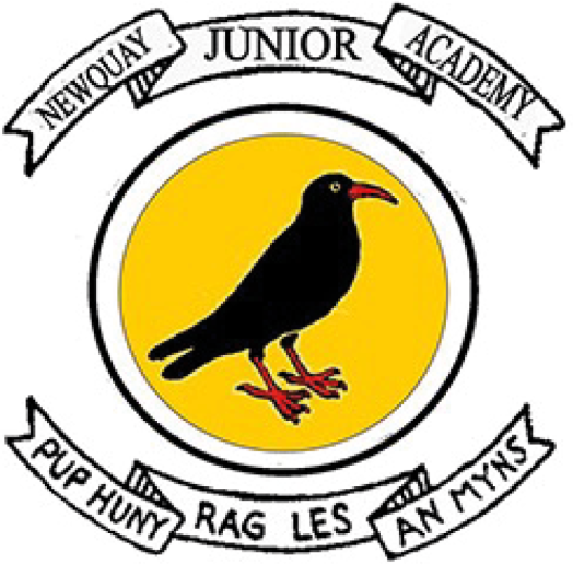 Newquay Junior Academy logo